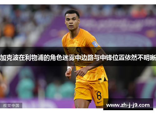 加克波在利物浦的角色迷雾中边路与中锋位置依然不明晰